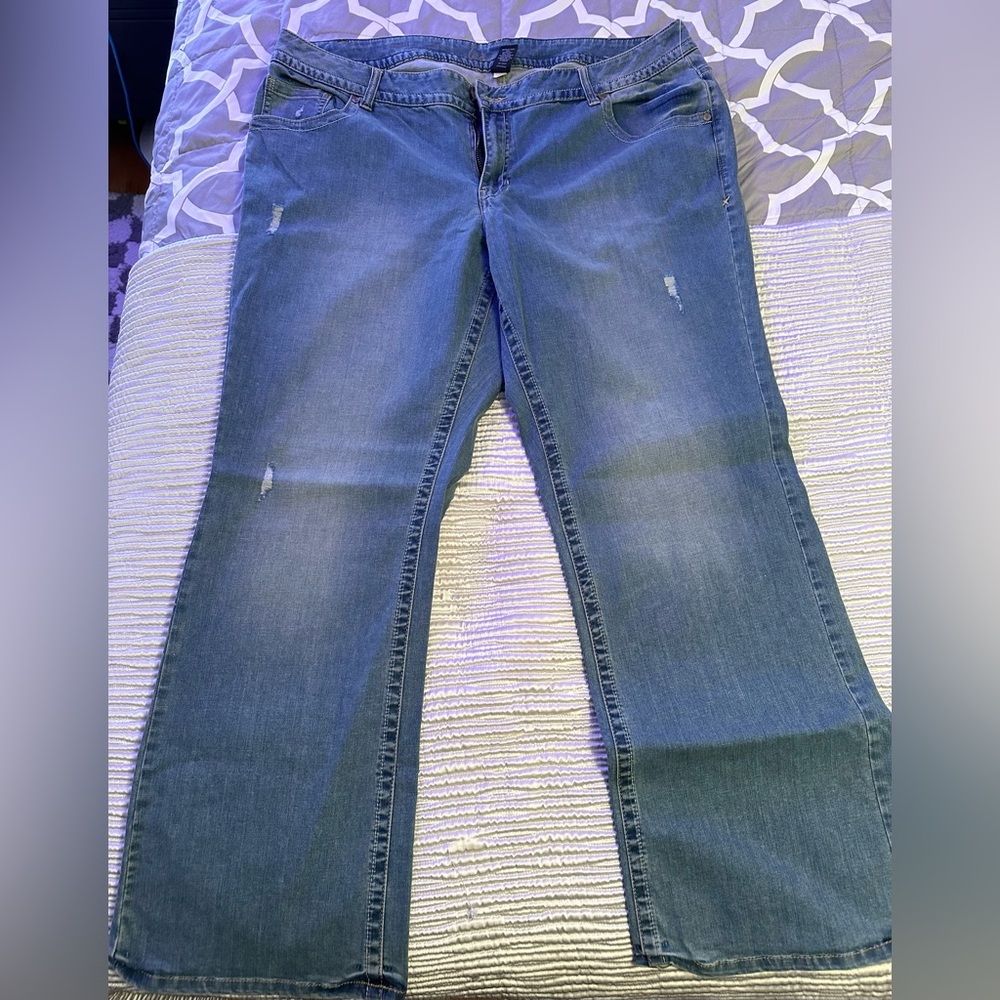 Brand new without tags. Lane Bryant Bootcut